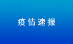 19日，31省区市新增确诊103例 本土88例